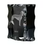 Saluki, Persischer Windhund I - Kristall mit einem Hundebild, Glasstatuette mit einem Bild, einzigartiger Bilderrahmen der Marke Art-Dog
