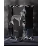 Saluki, Lévrier persan I - cristal avec photo de chien, statuette en verre avec photo, cadre exceptionnel avec photo de la marque Art-Dog