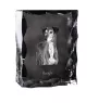 Saluki, Persian Greyhound, Arabian hound, Gazelle hound - crystal with a picture of a dog, glass statuette with a picture, unique frame with a picture from Art-Dog brand