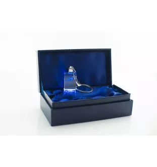 Saluki, Persian Greyhound, Arabian hound, Gazelle hound I - Crystal key ring with dog photo, illuminated key ring, unique gift by Art-Dog brand