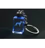 Saluki, Persian Greyhound, Arabian hound, Gazelle hound I - Crystal key ring with dog photo, illuminated key ring, unique gift by Art-Dog brand