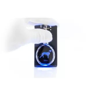 Saluki, Lévrier persan I - pendentif avec une photo de chien, porte-clés en cristal dans une boîte cadeau, un cadeau unique par Art-Dog