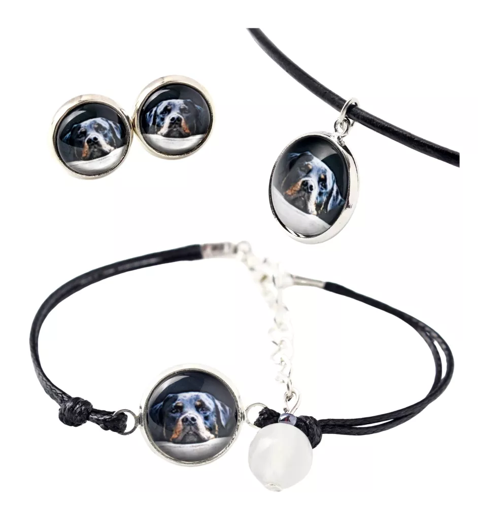 Rottweiler, Rott, Rottie - a set of jewelry in a box, necklace, earrings, bracelet, products from the Art-Dog brand