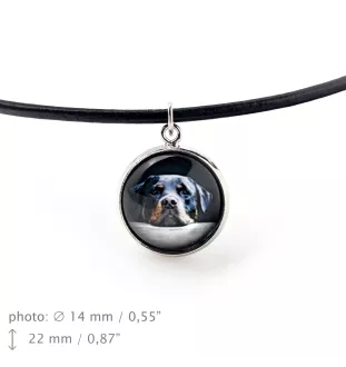Rottweiler, Bouvier allemand - ensemble de bijoux dans une boîte, collier, boucles d'oreilles, bracelet, produits de la marque Art-Dog