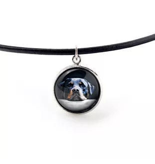 Rottweiler, Bouvier allemand - ensemble de bijoux dans une boîte, collier, boucles d'oreilles, bracelet, produits de la marque Art-Dog