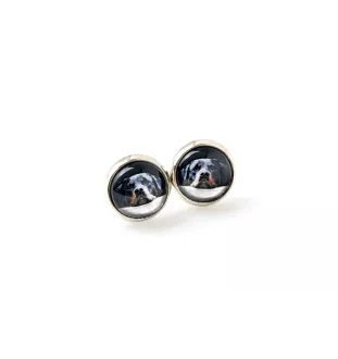 Rottweiler - Schmuckset in einer Schachtel, Halskette, Ohrringe, Armband, Produkte der Marke Art-Dog