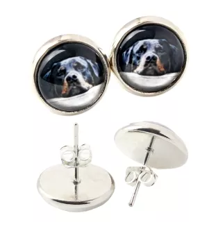 Rottweiler, Bouvier allemand - boucles d'oreilles dans une boîte, votre photo, bijoux faits à la main, produit de la marque Art-Dog.