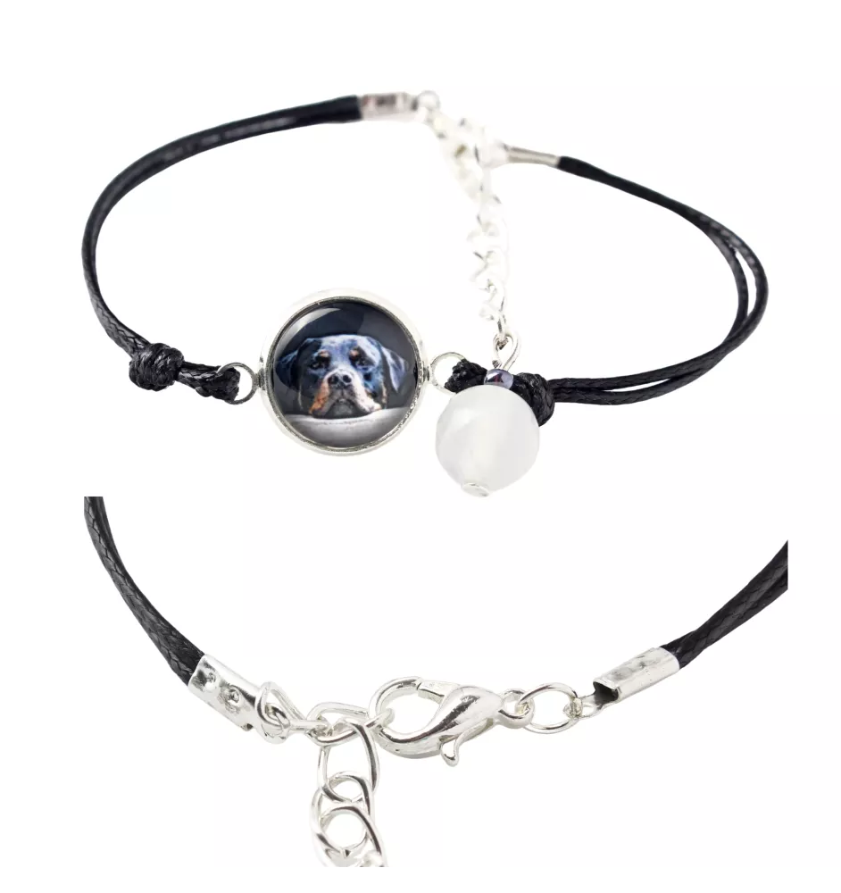 Rottweiler bransoletka w pudełku ze zdjęciem Art-Dog