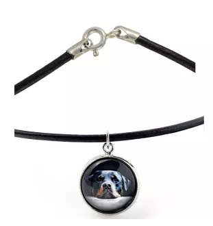 Rottweiler, Bouvier allemand - collier dans une boîte, élégant bijou, pendentif de la marque Art-Dog