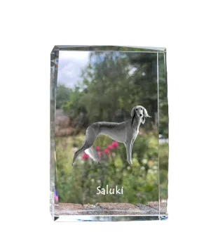 Saluki, Lévrier persan I - cristal avec une photo de chien, photo sous verre, exposition moderne de la marque de photos Art-Dog
