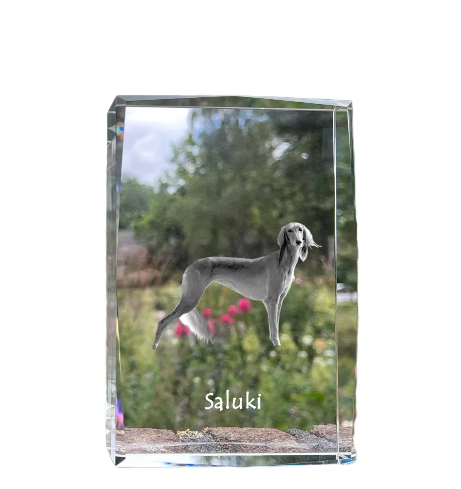 Saluki, Persischer Windhund I - Kristall mit einem Hundebild, Bild im Glas, moderne Ausstellung des Art-Dog-Bildes.