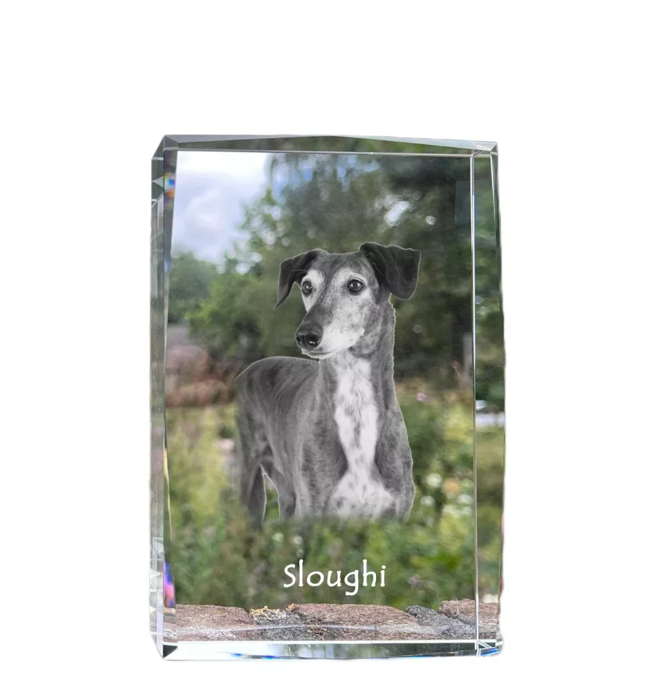 Saluki, Persian Greyhound, Arabian hound, Gazelle hound - crystal with a picture of a dog, photo in glass, modern exhibition of Art-Dog brand photo