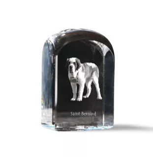 St. Bernard, Saint Bernard, Alpine Mastiff, Bernhardiner - crystal cube with a photo, photo of a dog in crystal, cubic paperweight from Art-Dog brand