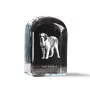 St. Bernard, Saint Bernard, Alpine Mastiff, Bernhardiner - crystal cube with a photo, photo of a dog in crystal, cubic paperweight from Art-Dog brand