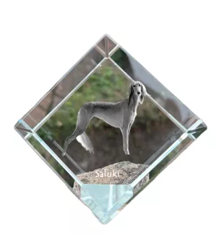 Saluki, Persian Greyhound, Arabian hound, Gazelle hound I - crystal cube with a photo, photo of a horse in crystal, cubic paperweight from Art-Dog brand