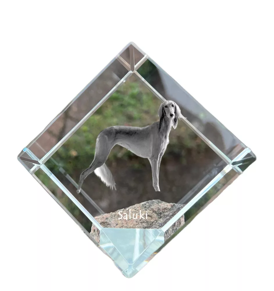 Saluki, Lévrier persan I - un cube de cristal avec une photo, une photo de cheval dans le cristal, un presse-papiers cubique de la marque Art-Dog