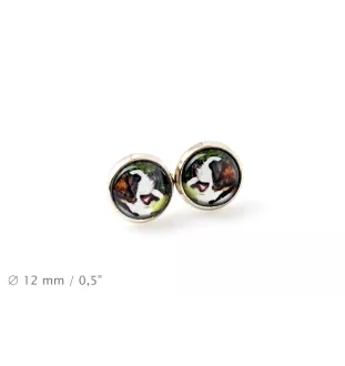 St. Bernard, Saint Bernard, Alpine Mastiff, Bernhardiner - jewelry with your photo box, set of necklace and earrings, personalized products from the Art-Dog brand