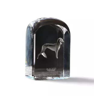 Saluki, Persian Greyhound, Arabian hound, Gazelle hound I - crystal cube with a photo, photo of a dog in crystal, cubic paperweight from Art-Dog brand