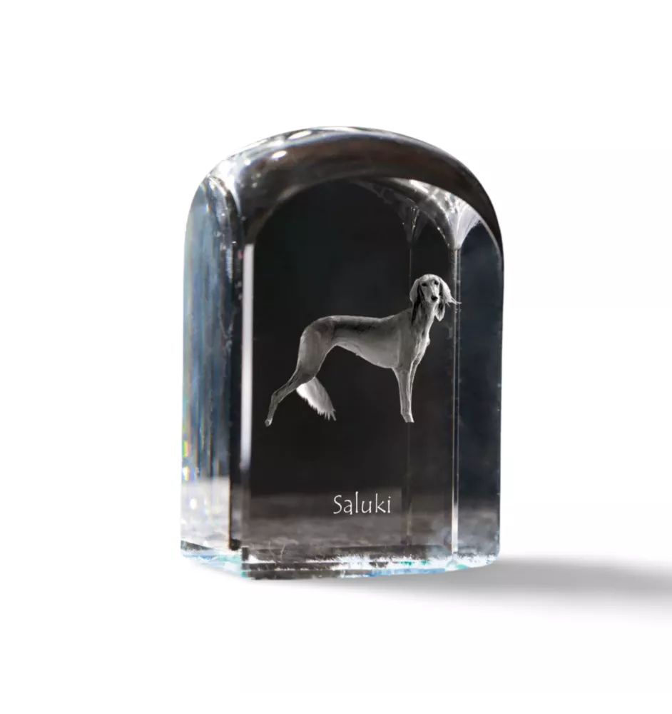 Saluki, Persian Greyhound, Arabian hound, Gazelle hound I - crystal cube with a photo, photo of a dog in crystal, cubic paperweight from Art-Dog brand