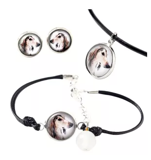 Saluki, Persian Greyhound, Arabian hound, Gazelle hound - a set of jewelry in a box, necklace, earrings, bracelet, products from the Art-Dog brand