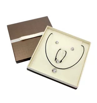 Saluki, Persian Greyhound, Arabian hound, Gazelle hound - a set of jewelry in a box, necklace, earrings, bracelet, products from the Art-Dog brand