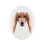 Saluki, Persian Greyhound, Arabian hound, Gazelle hound - a plate with a geometric design and the brand name Art-Dog