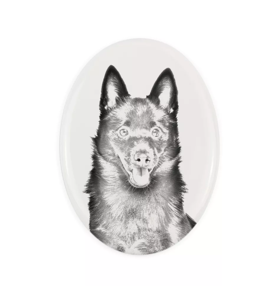 Schipperke, Little Black Devil, Little Captain - commemorative plaque with a photo of a dog, tombstone with a print, personalized oval plaque from the Art-Dog brand