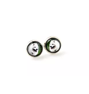 Samoyed, Bjelkier, Samoiedskaya Sobaka - earrings your photo handmade, own photo, jewelry from the Art.-Dog brand