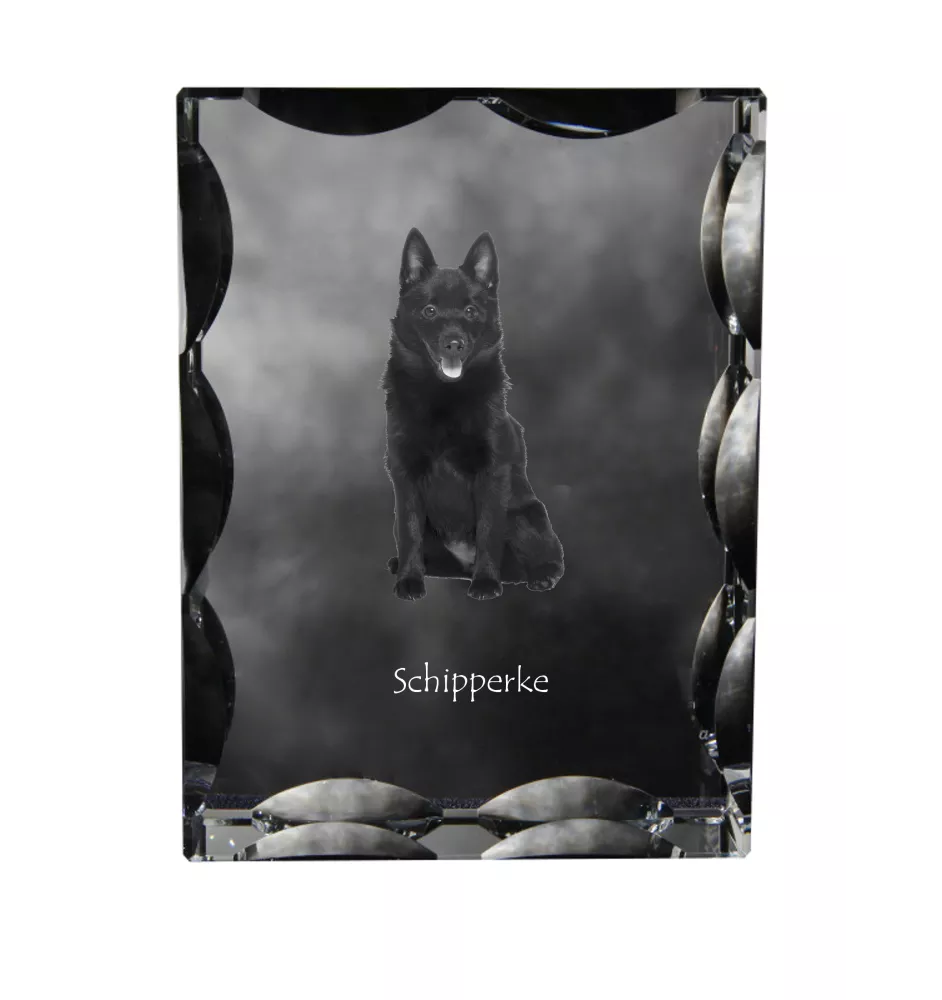 Schipperke, Little Black Devil, Little Captain - crystal with a picture of a dog, glass statuette with a picture, unique frame with a picture from Art-Dog brand