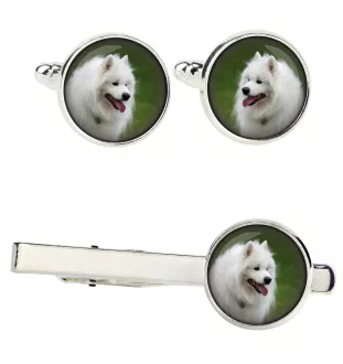 Samojed zestaw spinek w pudełku ze zdjęciem Art-Dog
