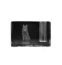 Schipperke, Little Black Devil, Little Captain - Pen stand, crystal organiser with dog photo, unique desk decoration by Art-Dog brand