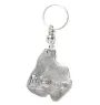 Schnauzer I - Silver-plated pendant with a dog in a decorative box, handbag decoration, backpack pendant by Art-Dog brand