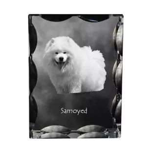 Samoyède - cristal avec photo de chien, statuette en verre avec photo, cadre exceptionnel avec photo de la marque Art-Dog