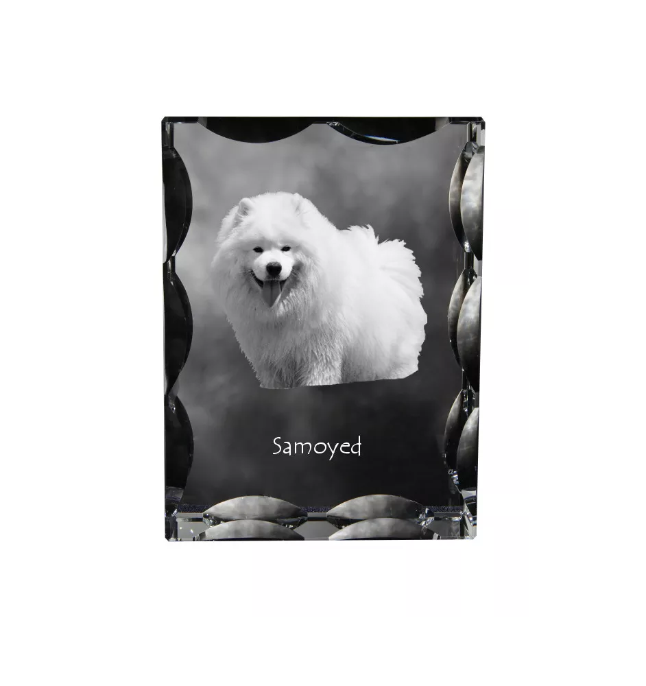 Samojede, Samoyed, Samojedenhund, Samojedenspitz - Kristall mit einem Hundebild, Glasstatuette mit einem Bild, einzigartiger Bilderrahmen der Marke Art-Dog