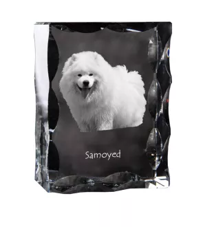 Samoyed, Bjelkier, Samoiedskaya Sobaka - crystal with a picture of a dog, glass statuette with a picture, unique frame with a picture from Art-Dog brand