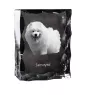 Samojede, Samoyed, Samojedenhund, Samojedenspitz - Kristall mit einem Hundebild, Glasstatuette mit einem Bild, einzigartiger Bilderrahmen der Marke Art-Dog