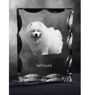 Samoyed, Bjelkier, Samoiedskaya Sobaka - crystal with a picture of a dog, glass statuette with a picture, unique frame with a picture from Art-Dog brand