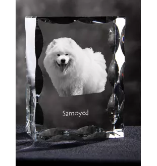 Samojede, Samoyed, Samojedenhund, Samojedenspitz - Kristall mit einem Hundebild, Glasstatuette mit einem Bild, einzigartiger Bilderrahmen der Marke Art-Dog