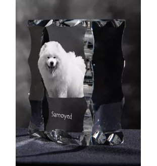 Samojede, Samoyed, Samojedenhund, Samojedenspitz - Kristall mit einem Hundebild, Glasstatuette mit einem Bild, einzigartiger Bilderrahmen der Marke Art-Dog