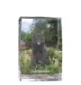Schipperke - Kristall mit einem Hundebild, Bild im Glas, moderne Ausstellung des Art-Dog-Bildes.