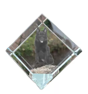 Schipperke - Kristallwürfel mit Bild, Pferdebild im Kristall, sechseckiger Papierclip der Marke Art-Dog