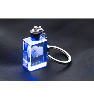 Samojede, Samoyed, Samojedenhund, Samojedenspitz - Schlüsselanhänger aus Kristall mit Hundefoto, beleuchteter Schlüsselanhänger, einzigartiges Geschenk der Marke Art-Dog