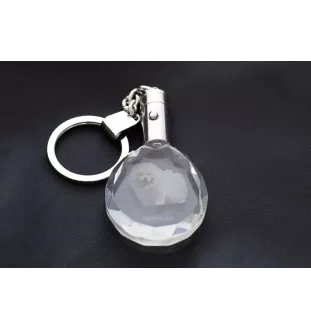 Samojede, Samoyed, Samojedenhund, Samojedenspitz - Anhänger mit einem Foto eines Hundes, Schlüsselanhänger aus Kristall in einer Geschenkbox, ein einzigartiges Geschenk von Art-Dog