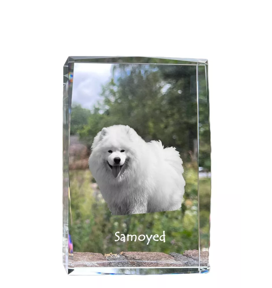 Samojed kryształ z psem Art-Dog