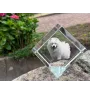 Samoyed, Bjelkier, Samoiedskaya Sobaka - crystal cube with a photo, photo of a horse in crystal, cubic paperweight from Art-Dog brand