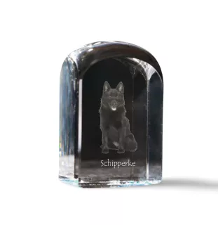 Schipperke, Little Black Devil, Little Captain - crystal cube with a photo, photo of a dog in crystal, cubic paperweight from Art-Dog brand