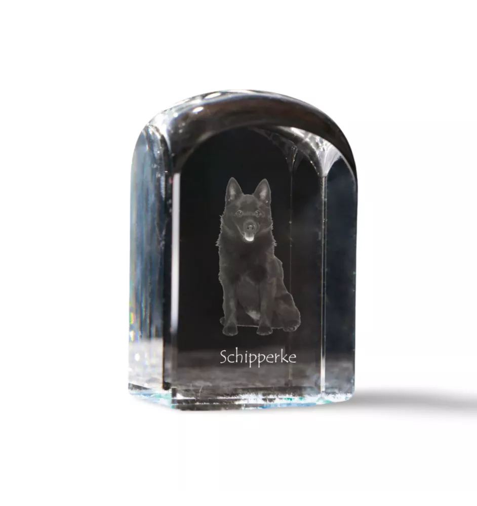 Schipperke, Little Black Devil, Little Captain - crystal cube with a photo, photo of a dog in crystal, cubic paperweight from Art-Dog brand