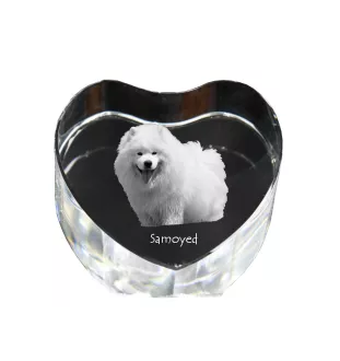 Samojede, Samoyed, Samojedenhund, Samojedenspitz - Hundebild im Kristall, Kristallherz, einzigartiger Bilderrahmen der Marke Art-Dog