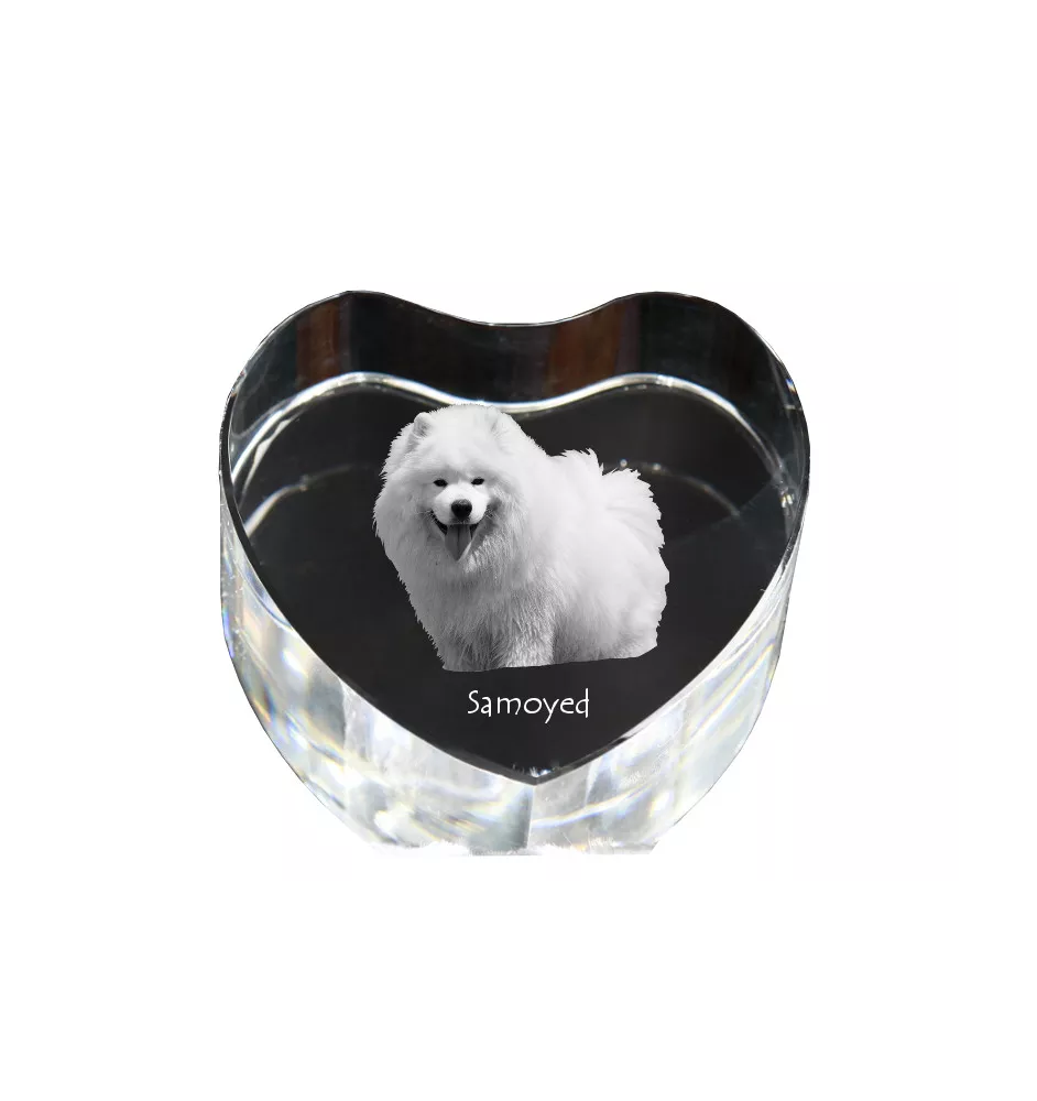Samoyed, Bjelkier, Samoiedskaya Sobaka - a photo of a dog in crystal, crystal heart, unique photo frame from the Art-Dog brand