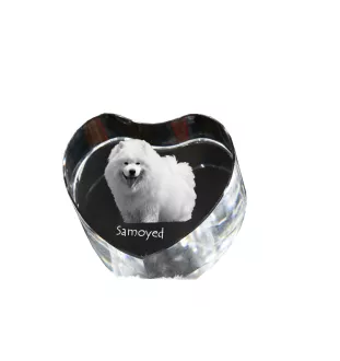 Samoyed, Bjelkier, Samoiedskaya Sobaka - a photo of a dog in crystal, crystal heart, unique photo frame from the Art-Dog brand